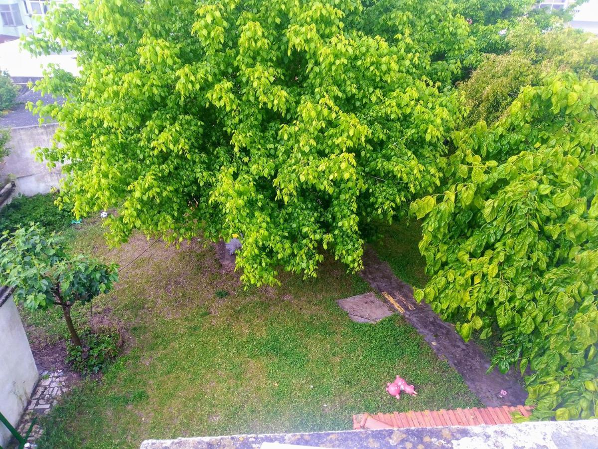 Alojamento Local, Cantinho Verde Corroios Ngoại thất bức ảnh